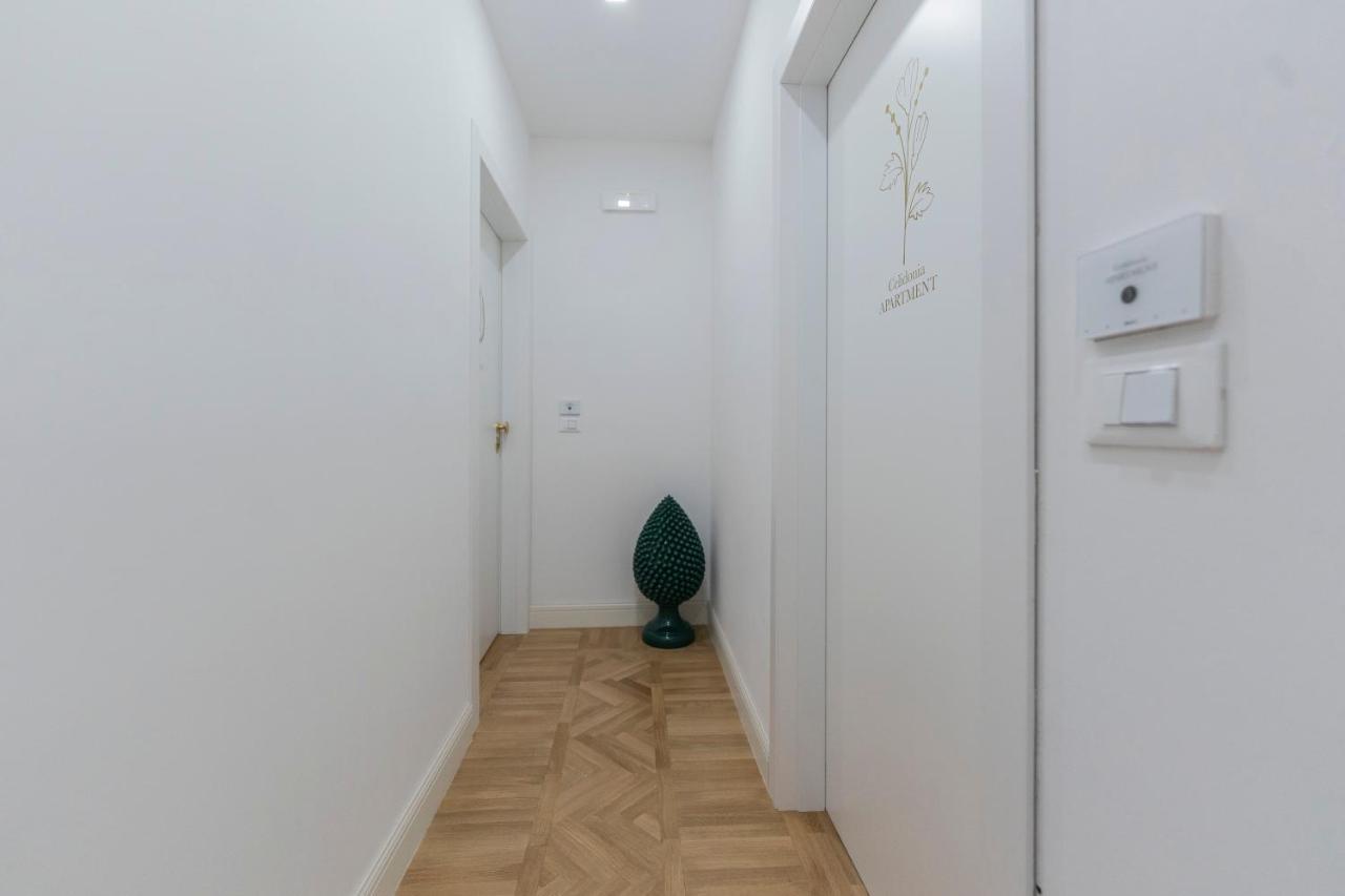 Aldrovandi Luxury Suites And Apartment Bologna Eksteriør billede